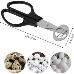 Wachteleier Schere 2 Stücke Edelstahl Wachteleierschere Küchenwerkzeug Eierschalenöffner Eierteiler Eieröffner Eierschalenöffner Schere Zum Öffnen Für Zuhause Küche Restaurant (black) SOEKAVIA -Schneidwerkzeug US Store 37155250 3