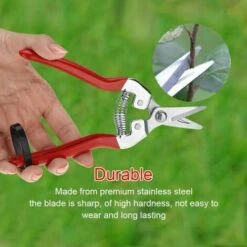 FUIENKO Solide Obstbaum Bonsai Gartenschere Gartenschere Pruner Tool Gebogene Klinge 1 Stck -Schneidwerkzeug US Store 56819361 4