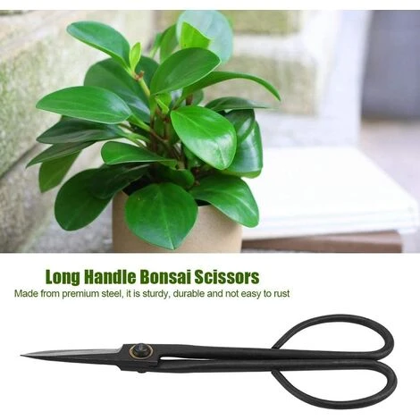 DECKON Bonsai-Schere Aus Edelstahl, Gartenschere, Bonsai-Stripper Mit Langem Griff Aus Stahl 2 DECKON Bonsai-Schere Aus Edelstahl, Gartenschere, Bonsai-Stripper Mit Langem Griff Aus Stahl – Bild 2