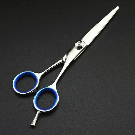 FUIENKO Professionelle Japan Stahl 5,5 6 ''Kleine Haar Schere Haarschnitt Scissor Augenbraue Barber Make-up Schneiden Scheren Friseur Schere,5.5 Inch 1 FUIENKO Professionelle Japan Stahl 5,5 6 ''Kleine Haar Schere Haarschnitt Scissor Augenbraue Barber Make-up Schneiden Scheren Friseur Schere,5.5 Inch